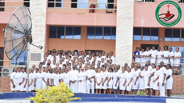CONSUO Post UTME Form 2026/2027 Is Out — College of Nursing Sciences Umulogho Obowo Full Admission