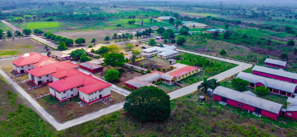 Lighthouse University 2026: Courses, Fees, Location, Accreditation and Everything Applicants Should
